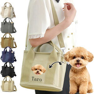 ʐ^ \  UobO 2way d؂t e  IWi ΂߂V_[obO L ybg{gz_[t @\ ybgoObY (ʐ^EOΉ