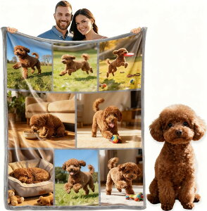 �I���W�i�� �u�����P�b�g �ʐ^���� �ѕz ������ �Ђ��|�� �I�[�_�[���C�h �����O���� �ʐ^�v�����g �\�t�g�^�b�` �t�����l���� �v���[���g ���蕨 �L�O�� �a���� �h�V�̓� ���j�� ��̓� ��