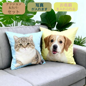 1030IP5{ybgʐ^NbV  L A { Mtg  ʃvg 􂦂 ybgX ̋ a  LOi  ʐ^ IWi ؂ȉƑ Ǔ 킢