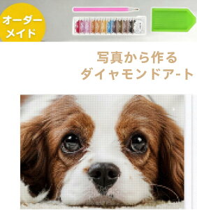 y|Cg5{25z_ChA[g Lbg S DIY r[YA[g I[_[Ch ۃr[Y 5D L 킢  G Zbg q v[g 蕨 a CeA  m