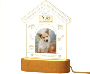 ybg A tHgt[ ʔv tHg L  ʐ^ ʐ^  AObY Wi AN IWi USB led  Mtg e X^ht v[g L