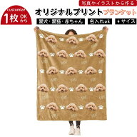 ＼任意2個で300円OFF／オリジナル ブランケット 写真入り 毛布 名入れ ひざ掛け オーダーメイド 膝掛け …
