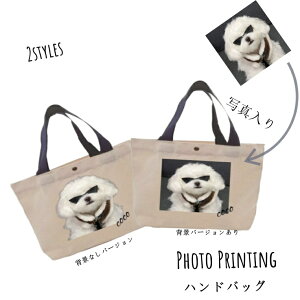 1030IP5{ g[gobO IWi ʐ^  vg ybg i CXg IWiObY GRobO ƋLOi ʋ΃obO Mtg v[g e |Pbgt