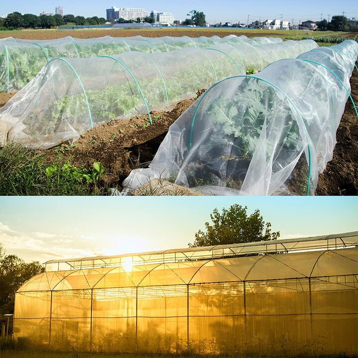 円高還元 防虫網 虫よけネット 防虫シート防虫ネット 防鳥ネット 虫除けネット ムシカットストロング 透光性90% 水やり可能 3mx10m 1mm目合 2倍厚さ 家庭菜園 畑 野菜 園芸 農業資材 防虫網 虫よけネット 防虫シート 3mx10m 防虫ネット 防鳥ネット 虫除けネット ムシカットストロング 透光性90% 水やり可能 1mm目合 2倍厚さ 家庭菜園 畑 野菜 園芸 農業資材