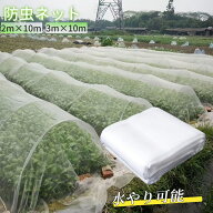 ＼任意2個で300円OFF／防虫ネット 2mx10/20m 3mx10/20m 3.5mx10/20m 防虫シート 防虫網 鳥よけ ネット ム…
