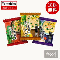 和養生にゅうめん 3種セット（3種×各4食）