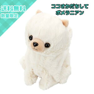 ZKgCY RR v~A |jA ʂ F ׂ  24 Z ӂӂѕ dybggC qǂ Mtg v[g 6Έȏ