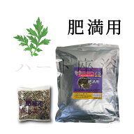 【オーガニック】【無農薬栽培-3年熟成よもぎ】よもぎ蒸し材料 -肥満用【50g×10袋】（10回分）【土日祝…