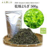 【楽天ランキング1位】乾燥よもぎ 国産 無農薬 よもぎ蒸し 風呂 500g【愛媛県産or徳島県産】