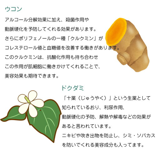 楽天市場 よもぎ野草茶 送料無料 抗糖化 ティーパック 国産 無農薬 ノンカフェインよもぎ 玄米 ハトムギ ウコン クマザサ 柿の葉 ドクダミ よもぎ 岩塩で発汗生活 よもじお