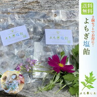 よもぎ塩飴2個セット 無農薬 送料無料 国産原料 デトックス 熱中症対策 妊婦