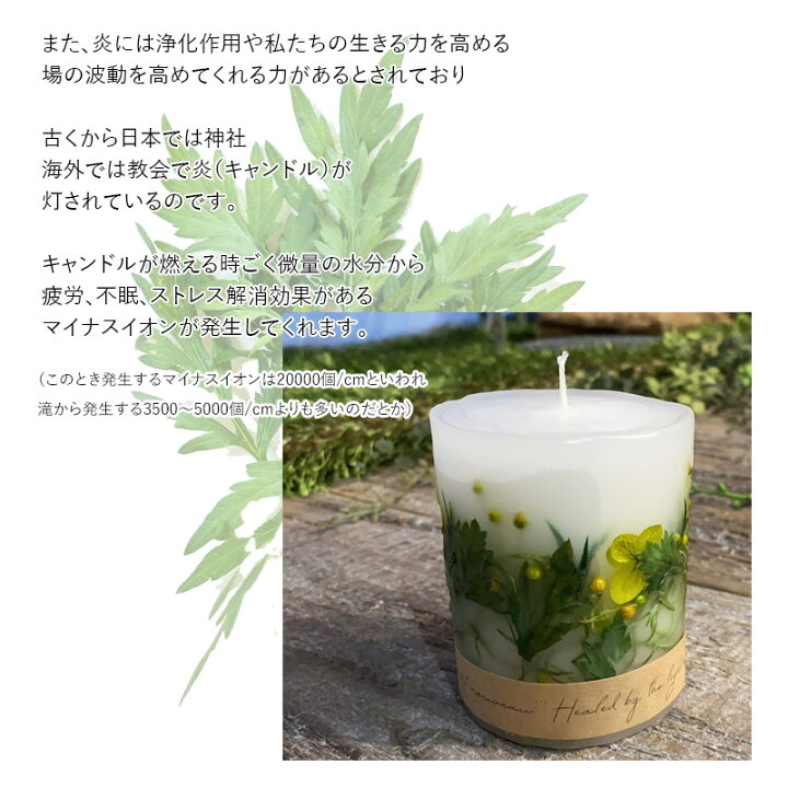 楽天市場 世界にひとつだけよもぎのプリザーブドフラワー3dソイキャンドル ソイキャンドル ボタニカル よもぎ 1 Fゆらぎ キャンドル 丸型ボタニカル よもぎ岩塩で発汗生活 よもじお 楽天市場 世界にひとつだけよもぎのプリザーブドフラワー3dソイキャンドル ソイキャンドル ボタニカル よもぎ 1 Fゆらぎ キャンドル 丸型ボタニカル よもぎ岩塩で発汗生活 よもじお
