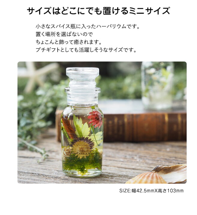 楽天市場】世界にひとつだけよもぎのハーバリウム ミニハーバリウム2本 