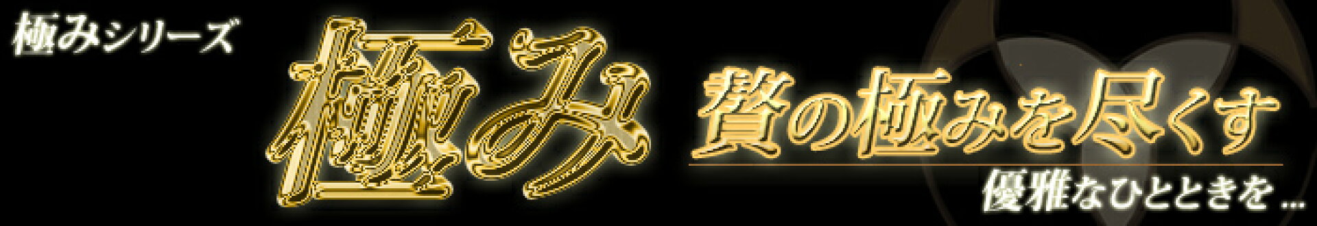 極みシリーズ