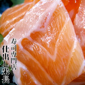 hgp hgp yLOT[sz  K LOT[ T[ [ T[ ƂT[ gT[ mEF[Y mEF[YLOT[ 