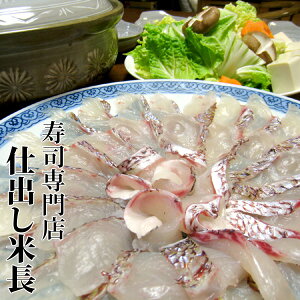 お中元 御中元 ギフト 贈答用 鯛しゃぶ 【大盛り用】 鯛しゃぶ鍋 鯛しゃぶしゃぶ鍋 しゃぶしゃぶ用 鍋 お鍋 鍋パーティー 鍋パ お取り寄せ お取り寄せグルメ 4〜5人前 大盛り 活け鯛 真鯛 マ