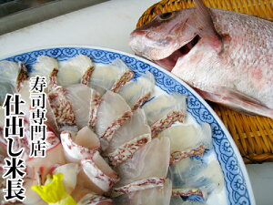  Ε Mtgi  y₵Ԃԓz iTCYj ^C ₵ ₵ԗp Ԃ Ԃԗp  蕨 Mtg 񂹓  p[eB