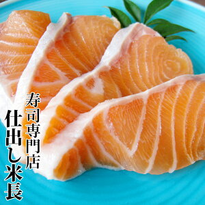 T[hg T[hg yLOT[z߁z 100gp T[zV T[z T[zY T[z Tt uk G ukЏTtŏЉ