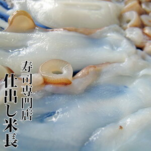 Mtg y^Rԁz  ^R   ^Rԓ ԓ ԓ ΎY Ύs ΎY^ ΎY}_R ^ }_R ܂ ΖY Ζ 