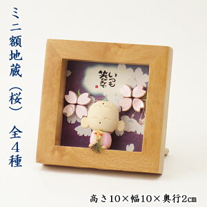 n ~jznij S4@uiΊŁE܂ŁE肪ƂEN΂jc10×10×s2cm