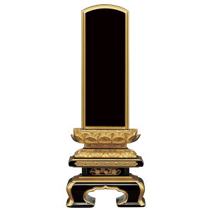 yYʔvzÓh hʔv ㋞^q@ؖʕ 3.5i17.8cmj`6i29.1cmj