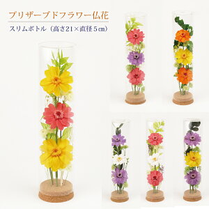 vU[uht[  X{g KXP[X 21cm×a5cmi1jyz