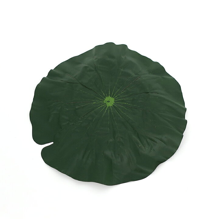 楽天市場 蓮の葉 直径約24cm 造花 仏壇 仏具 神棚の専門店 よねはら