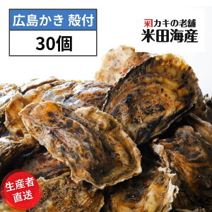 牡蠣 殻付き 広島産 30個 加熱用 ナイフ・手袋 広島牡蠣生産者米田海産が育てた殻付き牡蠣 生牡蠣 生ガキ お歳暮 バーベキュー BBQ 海の幸 シーフード 海産物 魚介類 養殖 亜鉛 タウリン