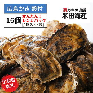 y kt 16 (dqWp4ܓ) LY LyYҕēcCYĂMp kt y KL VN  p p ΕȂǂ̃MtgɂlC̏ił