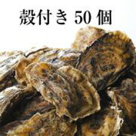 牡蠣 殻付き 広島産 50個 加熱用 ナイフ・手袋付 広島牡蠣生産者米田海産が育てた殻付き牡蠣 生牡蠣 生ガキ お歳暮 バーベキュー BBQ 海の幸 シーフード 海産物 魚介類 養殖 亜鉛 タウリン