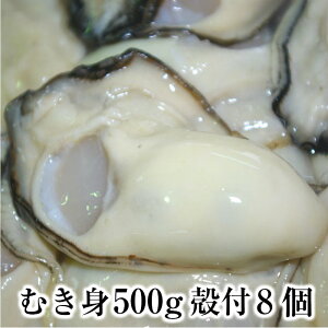 牡蠣 むき身500gと殻付き8個の詰め合わせ 広島牡蠣生産者米田海産が育てた美味しい生牡蠣 かき カキ 生ガキ 広島産 加熱用 贈答 お歳暮などのギフトにも人気でおすすめです