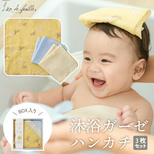 { K[[nJ` 3Zbg n oYj xr[p 3WAY @ 悾 nh^I RbgK[[ @ ݃J[ jp Ԃp V 킢 V j 