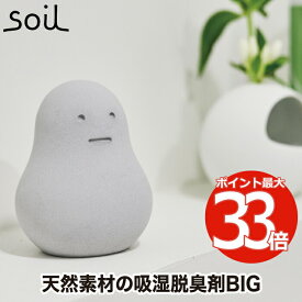 soil フレッシェン ビッグ 調湿脱臭剤 1個 日本製 大きい 珪藻土 消臭 消臭力 吸水 吸湿 乾燥剤 除湿剤 速乾 炭 天然素材 エコ ドライ ニオイ シューズラック 臭い 匂い 脱臭剤 消臭材 靴箱 下駄箱 冷蔵庫 玄関 キッチン 雑貨 おしゃれ シンプル かわいい 国産 ソイル ギフト