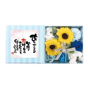 yIׂTtz Ԃ̓ oXtOX |G  肪Ƃ {bNXAW  AC oC  \[vt[ i oX{ KN Ђ܂   [t