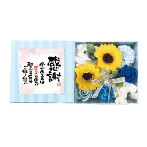 yIׂTtz Ԃ̓ oXtOX |G  肪Ƃ {bNXAW  AC oC  \[vt[ i oX{ KN Ђ܂   [t