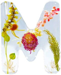 yIׂTtz BOUTE CjV tOX fBt[U[ Zbg | n[oE hCt[   A} n[u x[ x_[ [Y XN WX~  A K M 