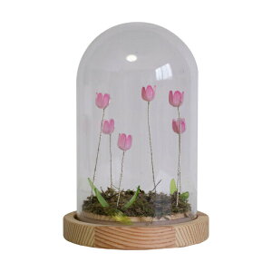 LUMO `[bv KXh[ LEDCgt  CeA u R[hX dr IuWF CeACg ԐڏƖ 킢 t[Cg k t@^W[ zI  i`