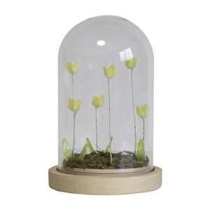 LUMO `[bv KXh[ LEDCgt  CeA u R[hX dr IuWF CeACg ԐڏƖ 킢 t[Cg k t@^W[ zI  i`