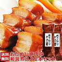 ＼14日間限定販売＆送料無料／ お試し 豚肉の和醤煮込み 2本 セット 送料無料 角煮 煮豚 肉 柔らか とろける クリスマス ディナー オードブル おせち お節 お歳暮 ギフト の おためし お取り寄せグルメ お取り寄せ グルメ ご飯のお供 食べ物 実用的 人気 おかず おつまみ