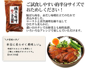 【送料無料】初回限定おためしセットお試し詰め合わせお試しセットおためし送料無料お取り寄せグルメ豚肉の味噌煮込み角煮煮豚キーマカリーカレービーフシチューハンバーグ国産鶏肉つくね串