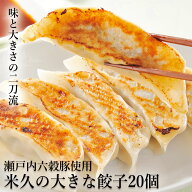父の日 ディナー 米久の大きな 餃子 20個 セット 国産豚肉使用 ぎょうざ ギョウザ ギョーザ 冷凍 冷凍餃…