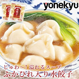 お取り寄せグルメ ふかひれ入り 水餃子 480g×2袋 セット 餃子 ぎょうざ ギョウザ ギョーザ スープ ラーメン 鍋 冷凍 お手軽 便利 敬老の日 ディナー お誕生日 プレゼント ギフト の お試し お取り寄せ グルメ ご飯のお供 食べ物 実用的 人気 おかず おつまみ オードブル