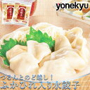 お取り寄せグルメ ふかひれ入り 水餃子 480g×2パック セット 餃子 ぎょうざ ギョウザ ギョーザ スープ そうめん 冷やし中華 ラーメン 鍋 お鍋 に 冷凍 冷凍食品 お手軽 便利 お取り寄せ グルメ ご飯のお供 オードブル の お試し 食べ物 実用的 人気 おかず おつまみ