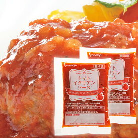 【 ハンバーグ 同梱専用】トマトイタリアン ソース 40g×2袋 セット ハンバーグソース 温めるだけ 冷凍 お中元 ギフト 敬老の日 ディナー お誕生日 プレゼント の お試し お取り寄せグルメ お取り寄せ グルメ ご飯のお供 ごはんのおとも 食べ物 実用的 人気 オードブル