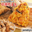 母の日 オードブル たっぷり 中華 ちまき 国産もち米使用 10個 セット チマキ 粽 おこわ 竹の皮 米 お米 国産米 ごはん おにぎり 時短 タイパ お取り寄せグルメ お取り寄せ グルメ お誕生日 プレゼント 内祝い ギフト の お試し 食べ物 実用的 人気 お弁当 おやつ おつまみ