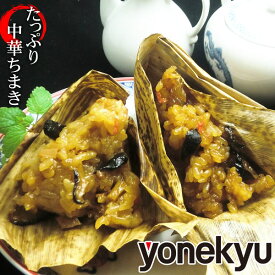 お取り寄せグルメ たっぷり 中華 ちまき 国産もち米使用 10個 セット チマキ 粽 竹の皮 米 お米 ごはん ご飯 おにぎり 冷凍食品 時短 タイパ お取り寄せ グルメ オードブル お中元 夏ギフト 内祝い お返し の お試し にも 食べ物 実用的 人気 お弁当 おかず おやつ おつまみ