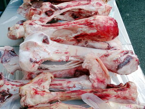 Y 񂱂 10kg QRc@@Ɩp