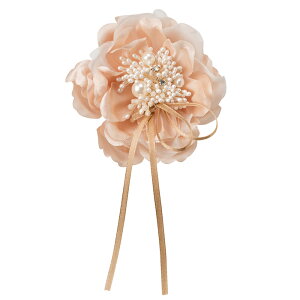 cocomam }[S[h̃O{RT[W AvRbgx[W CgO[ CgsN