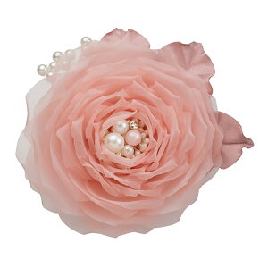 cocomam ӂ胉ĩp[RT[W ojx[W OCbVu[ xr[sN