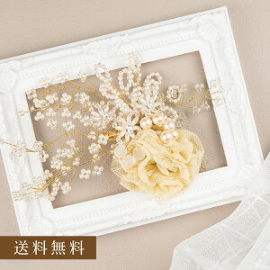 `p[RT[W`t[`[tƏiȃp[؂₩